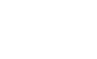 Globe icon